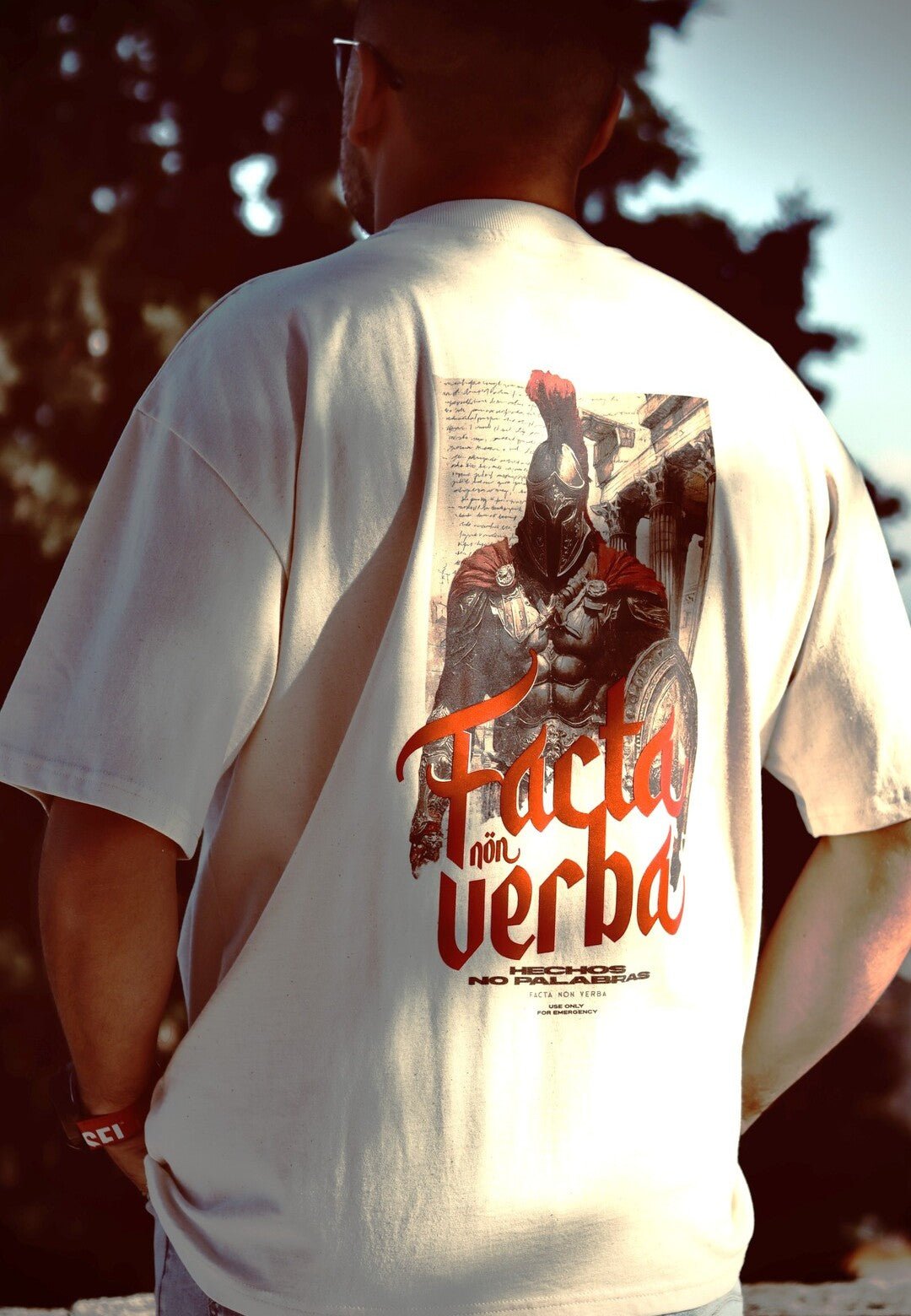 LEGADO DE FORTALEZA - ® PECHAS