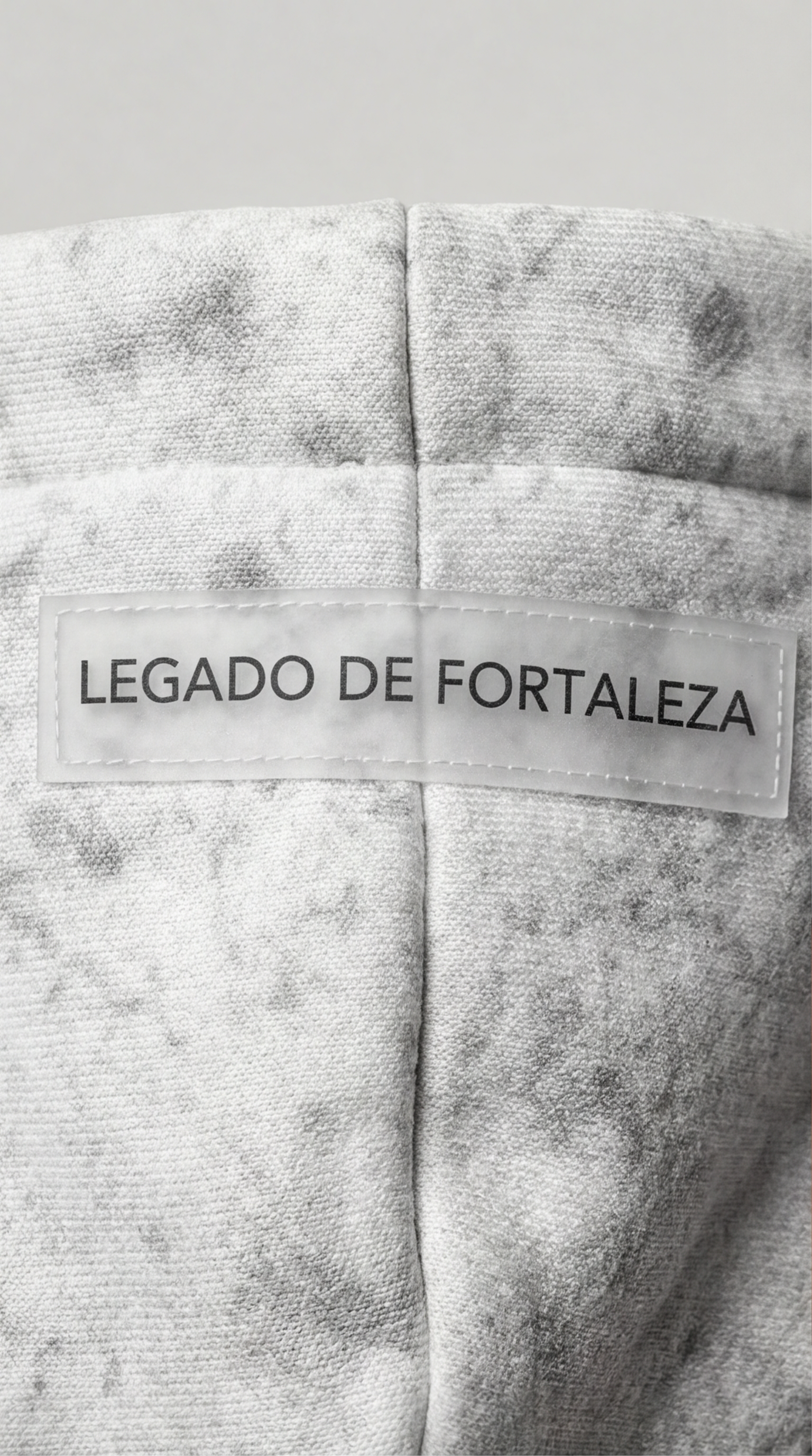 Sudadera Oversize Praetorium Alba Aeterna · Streetwear Premium